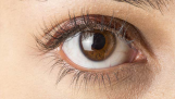 Đồng tử mắt người là gì? Các bệnh lý liên quan đến con ngươi của mắt